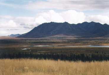 Wide open Alaskan prairies